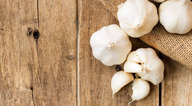 Bawang Putih Superfood Yang Menguatkan Imunitas Tubuh