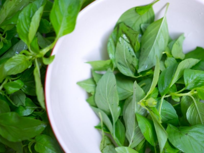 Daun Kemangi