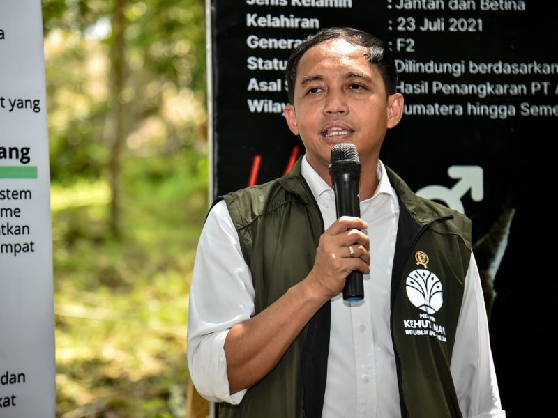 Menteri Kehutanan