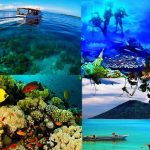 Taman Laut Bunaken Surga Bawah Laut Indonesia Yang Mendunia