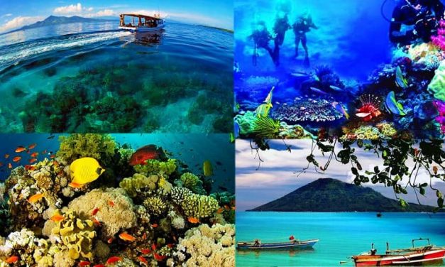 Taman Laut Bunaken Surga Bawah Laut Indonesia Yang Mendunia
