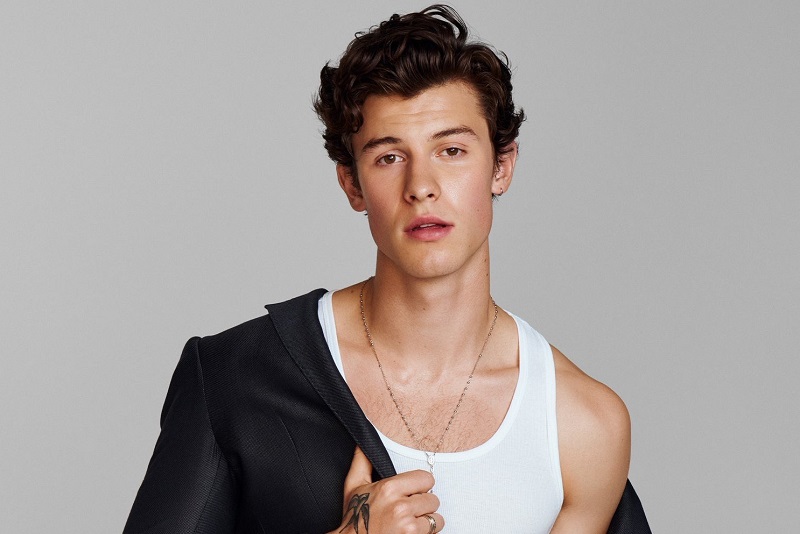Shawn Mendes Penyanyi Muda Bersuara Emas Asal Kanada