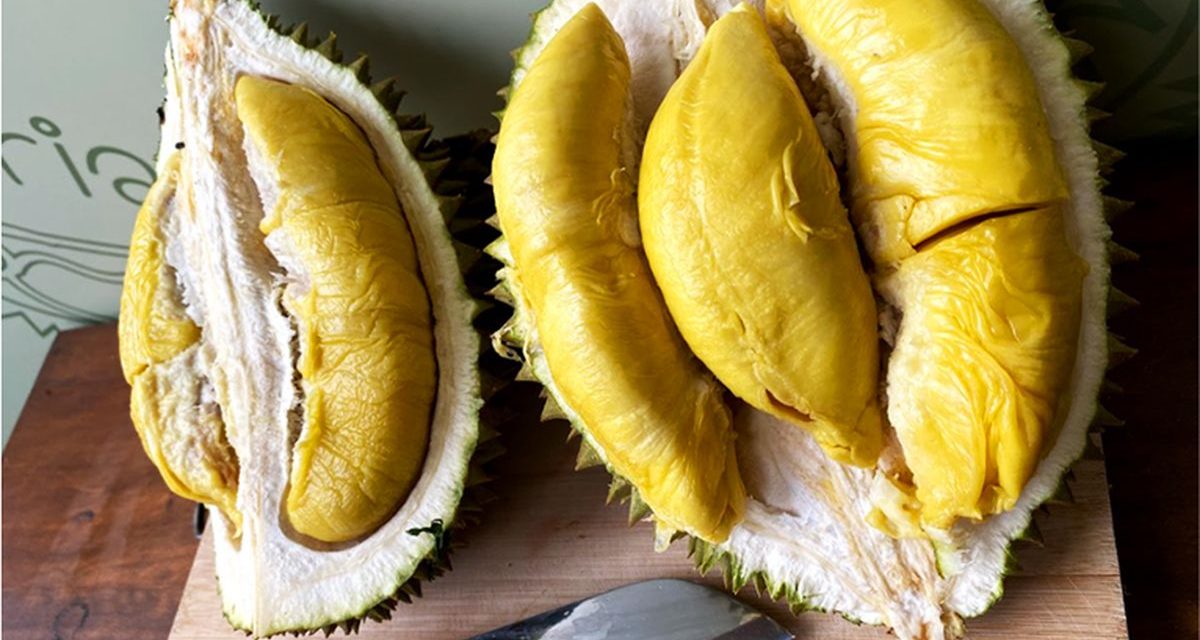 Durian Musang King, Raja Durian dengan Cita Rasa Premium