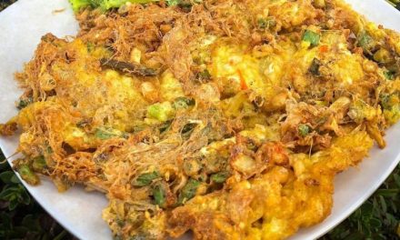 Telur Dadar Barendo Ala Rumah Makan Dan Tips Memasaknya