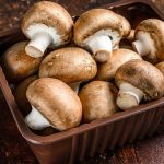 Organisme Eukariotik Jamur Yang Bisa Di Makan