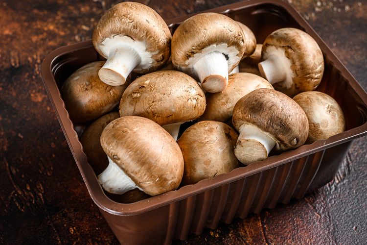 Organisme Eukariotik Jamur Yang Bisa Di Makan