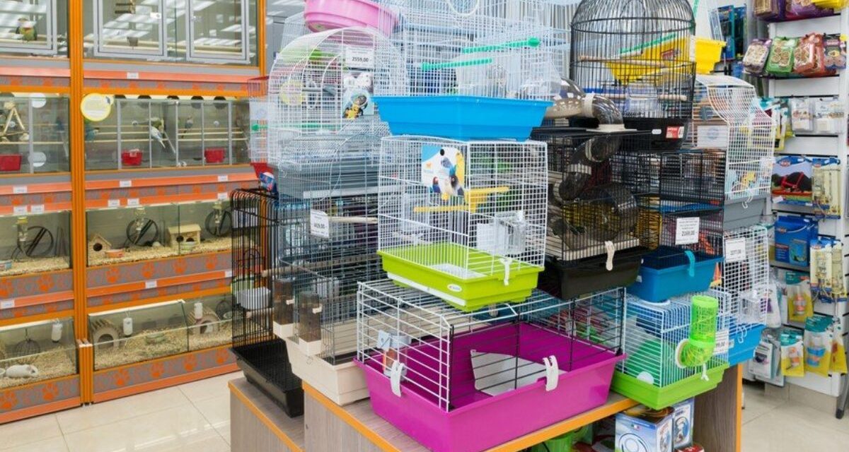 Panduan Membuka Petshop, Jika Modal Anda Terbatas!