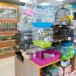 Panduan Membuka Petshop, Jika Modal Anda Terbatas!