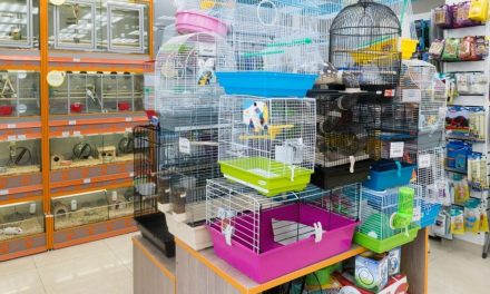 Panduan Membuka Petshop, Jika Modal Anda Terbatas!