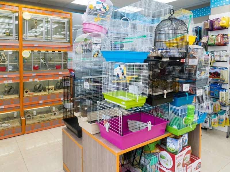 Panduan Membuka Petshop