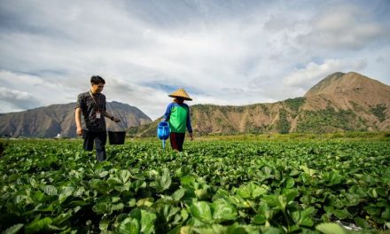 Investasi Hijau Tumbuh, EBUS Berkelanjutan Capai Rp 851,5T