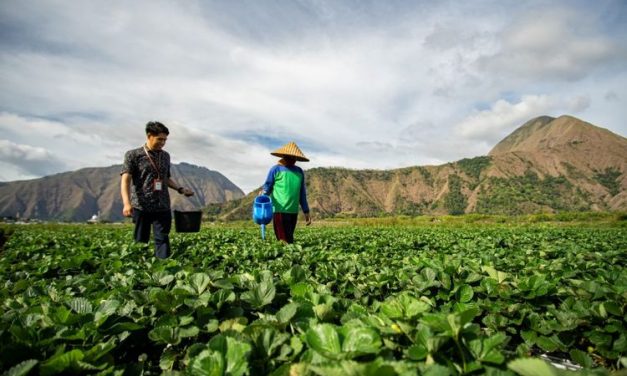 Investasi Hijau Tumbuh, EBUS Berkelanjutan Capai Rp 851,5T