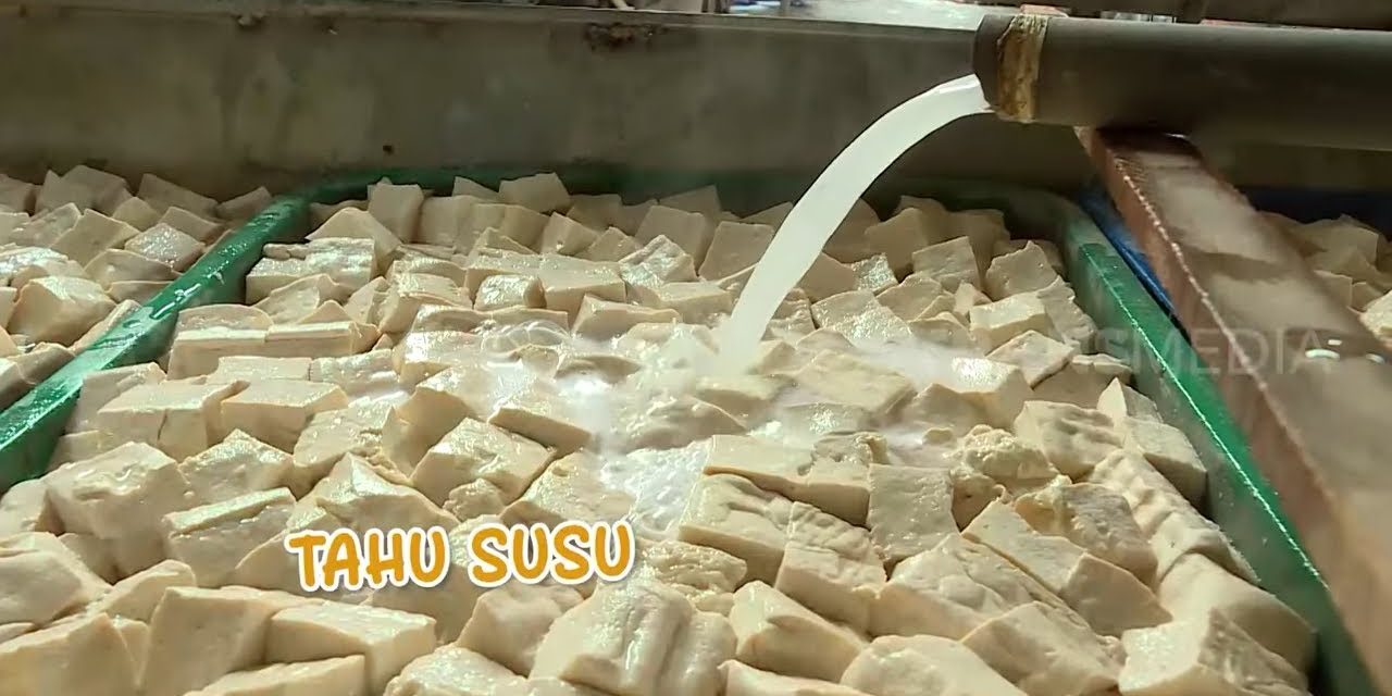 Pembuatan Tahu, Ini Dia Proses Teknik Dan Variasinya