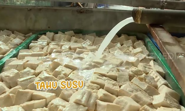 Pembuatan Tahu, Ini Dia Proses Teknik Dan Variasinya